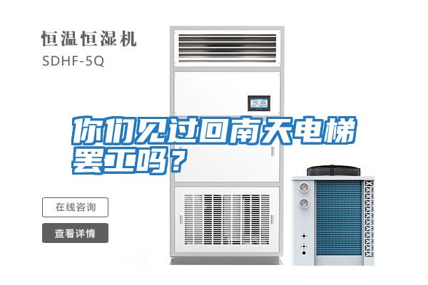 你們見過回南天電梯罷工嗎？
