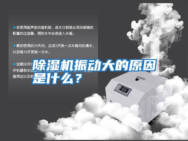 除濕機(jī)振動(dòng)大的原因是什么？
