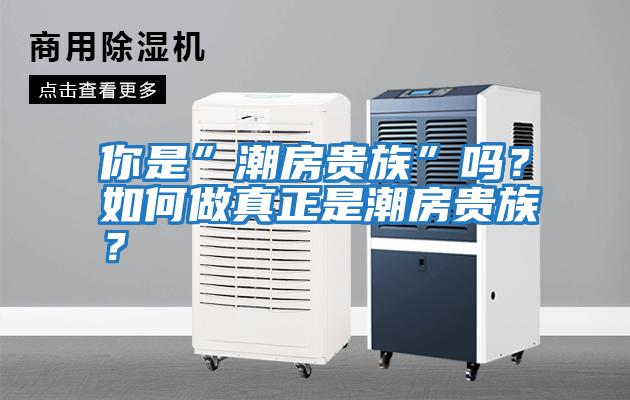 你是”潮房貴族”嗎？如何做真正是潮房貴族？