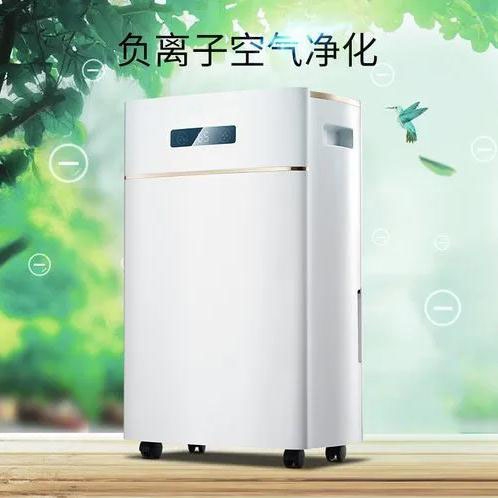 飯后適量吃祛濕的水果，有助于身體健康