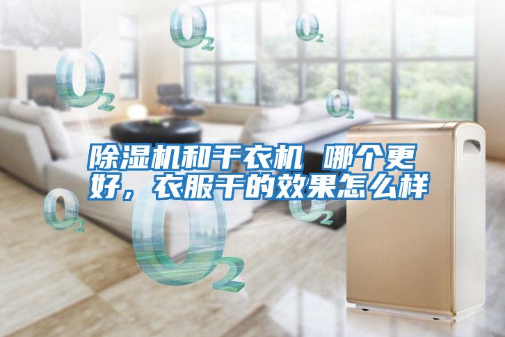 除濕機(jī)和干衣機(jī) 哪個更好，衣服干的效果怎么樣