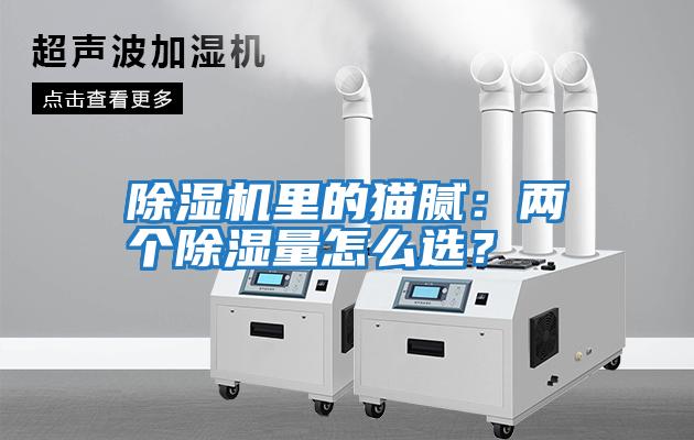 除濕機(jī)里的貓膩：兩個除濕量怎么選？