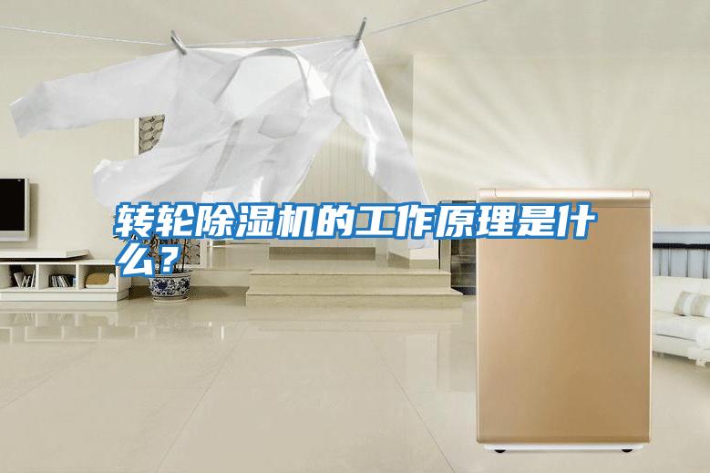 轉(zhuǎn)輪除濕機(jī)的工作原理是什么?