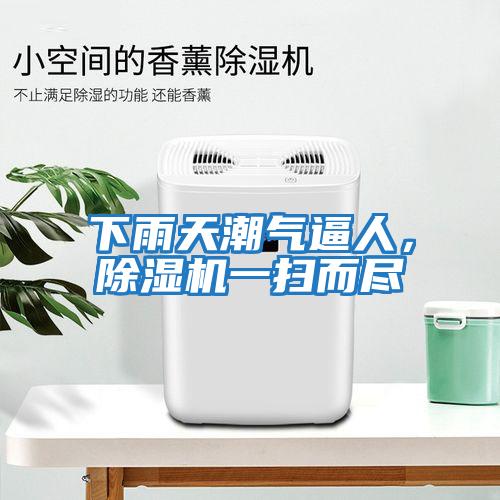 下雨天潮氣逼人，除濕機一掃而盡
