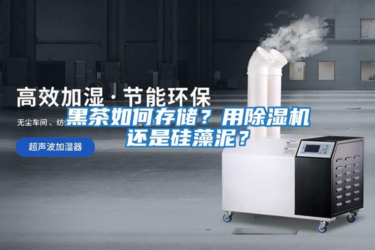 黑茶如何存儲？用除濕機還是硅藻泥？