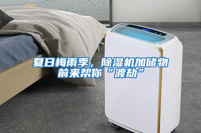 夏日梅雨季，除濕機加儲物前來幫你“渡劫”