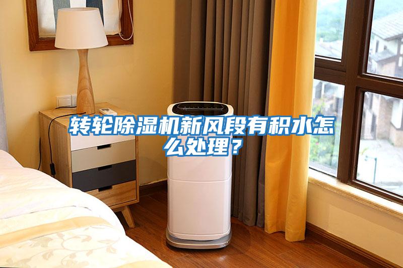 轉(zhuǎn)輪除濕機(jī)新風(fēng)段有積水怎么處理?