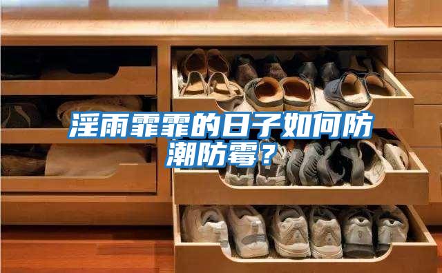 淫雨霏霏的日子如何防潮防霉？