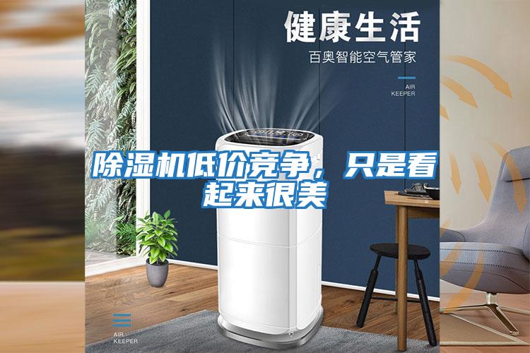 除濕機(jī)低價(jià)競爭，只是看起來很美
