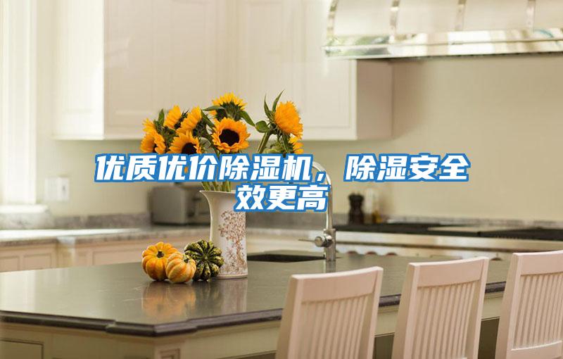 優(yōu)質(zhì)優(yōu)價(jià)除濕機(jī)，除濕安全效更高
