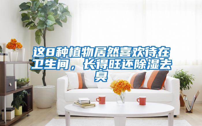 這8種植物居然喜歡待在衛生間，長得旺還除濕去臭