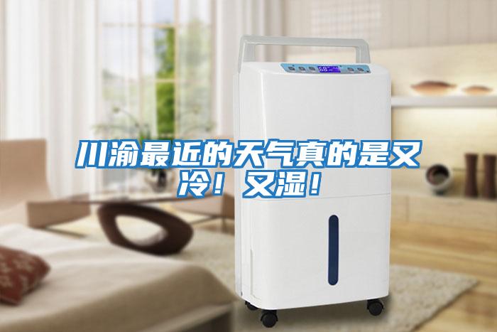 川渝最近的天氣真的是又冷！又濕！