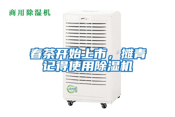 春茶開始上市，攤青記得使用除濕機