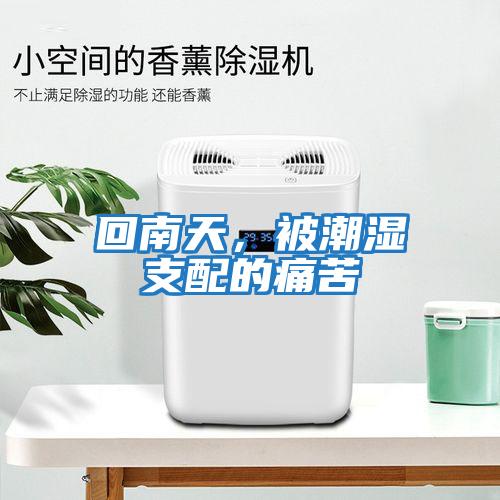 回南天，被潮濕支配的痛苦