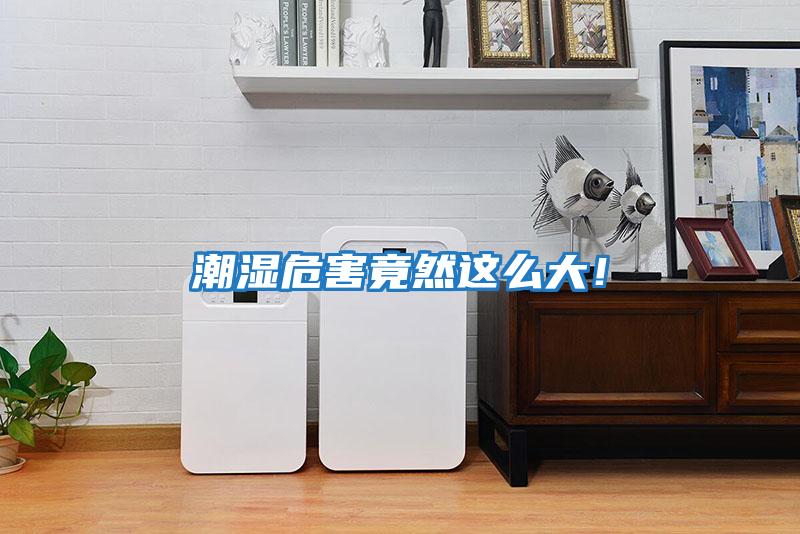 潮濕危害竟然這么大！