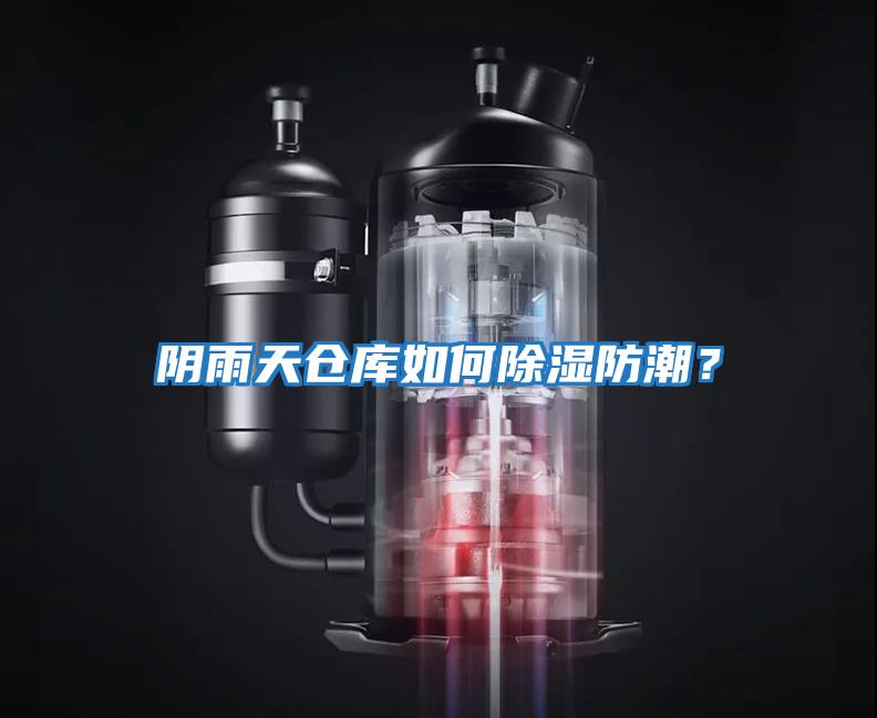陰雨天倉(cāng)庫(kù)如何除濕防潮？