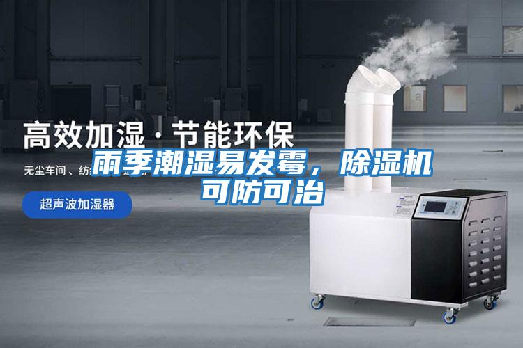 雨季潮濕易發(fā)霉，除濕機可防可治