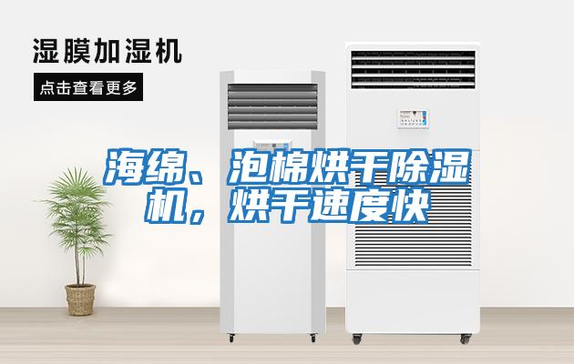 海綿、泡棉烘干除濕機，烘干速度快