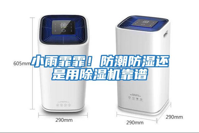 小雨霏霏！防潮防濕還是用除濕機(jī)靠譜