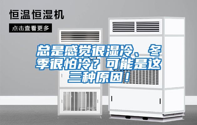 總是感覺很濕冷、冬季很怕冷？可能是這三種原因！