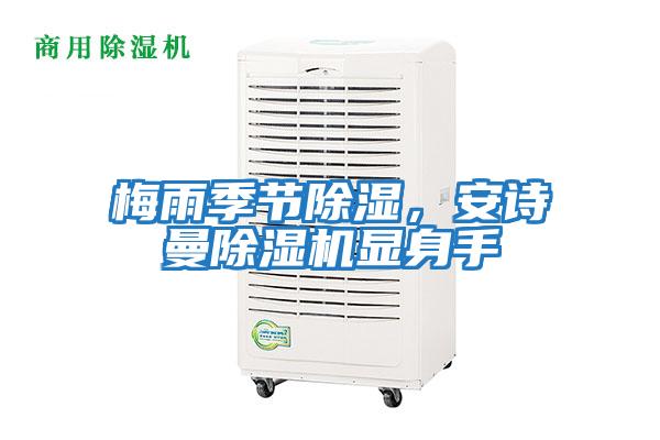 梅雨季節除濕，安詩曼除濕機顯身手