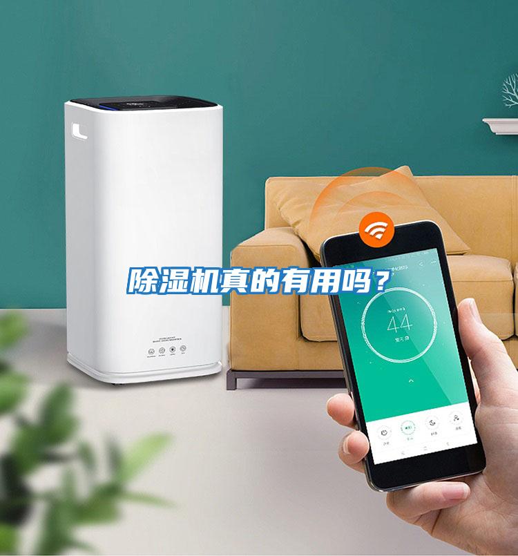除濕機真的有用嗎？