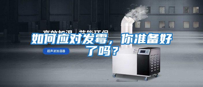 如何應對發霉，你準備好了嗎？