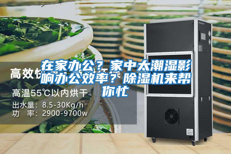 在家辦公？家中太潮濕影響辦公效率？除濕機(jī)來(lái)幫你忙