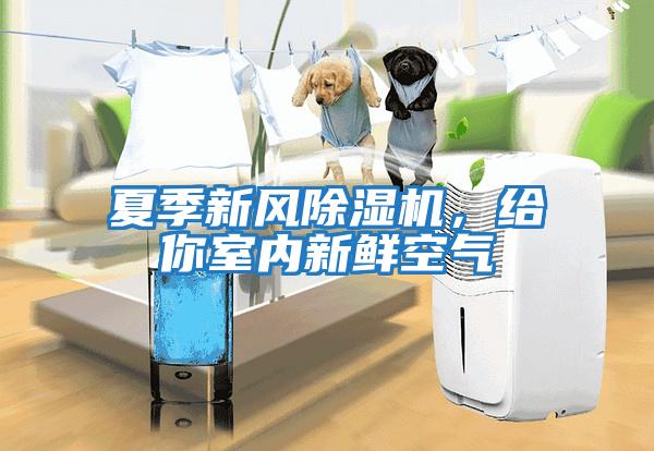 夏季新風除濕機，給你室內(nèi)新鮮空氣