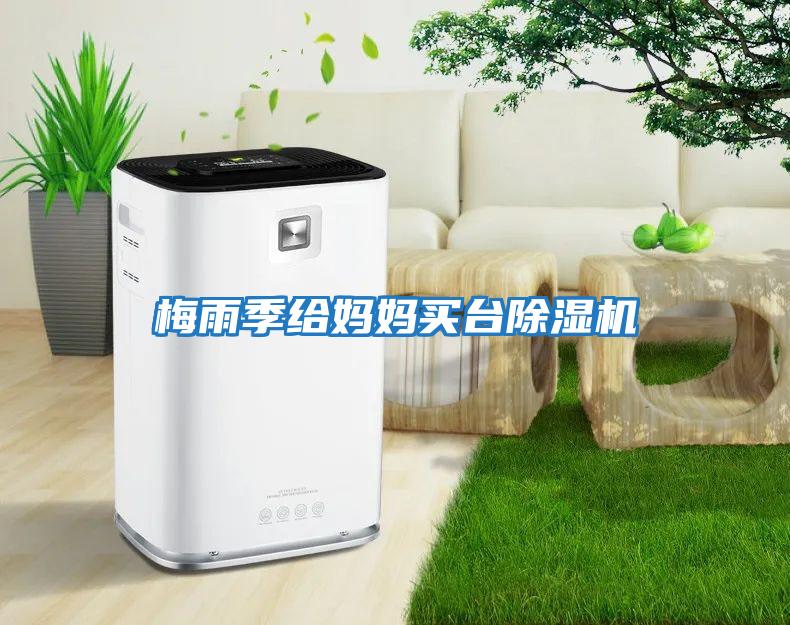梅雨季給媽媽買(mǎi)臺(tái)除濕機(jī)