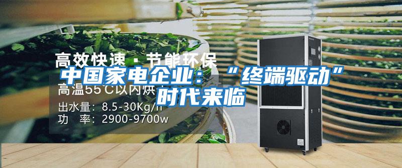 中國家電企業(yè)：“終端驅(qū)動”時代來臨
