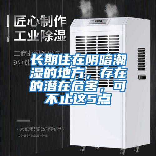 長期住在陰暗潮濕的地方，存在的潛在危害，可不止這5點