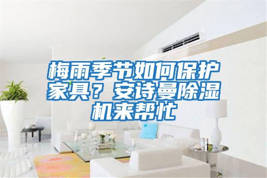 梅雨季節如何保護家具？安詩曼除濕機來幫忙