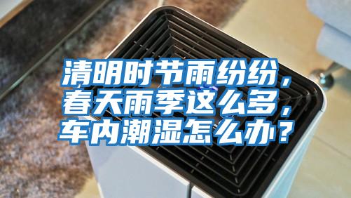 清明時節雨紛紛，春天雨季這么多，車內潮濕怎么辦？