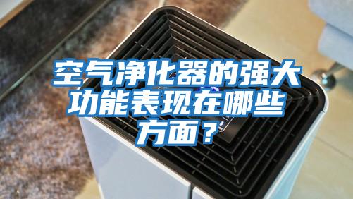 空氣凈化器的強大功能表現在哪些方面？