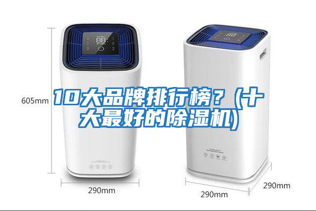 10大品牌排行榜？(十大最好的除濕機(jī))