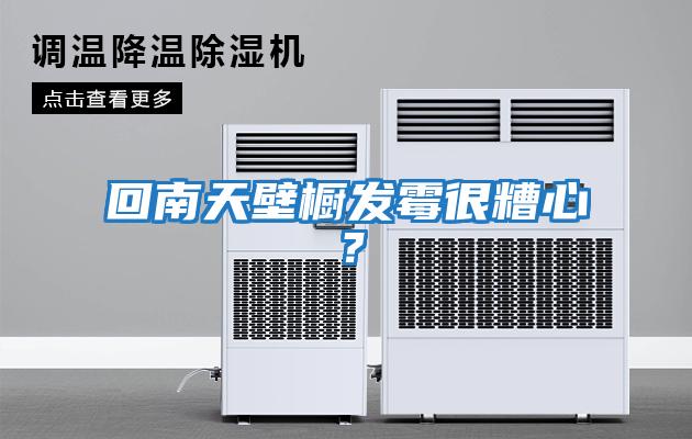 回南天壁櫥發霉很糟心？