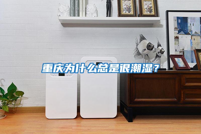 重慶為什么總是很潮濕？