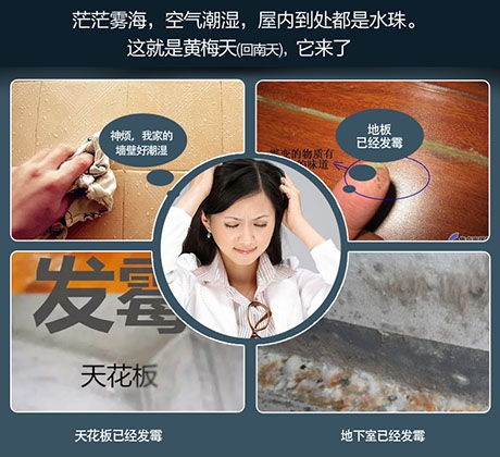 黑科技除濕機(jī)，拒絕討厭的濕氣問題
