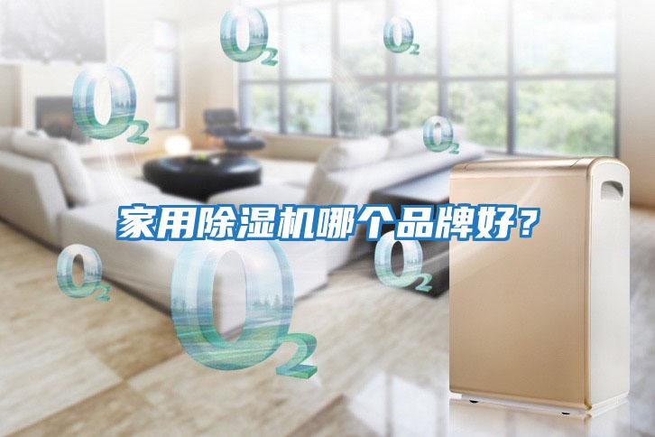 家用除濕機哪個品牌好？