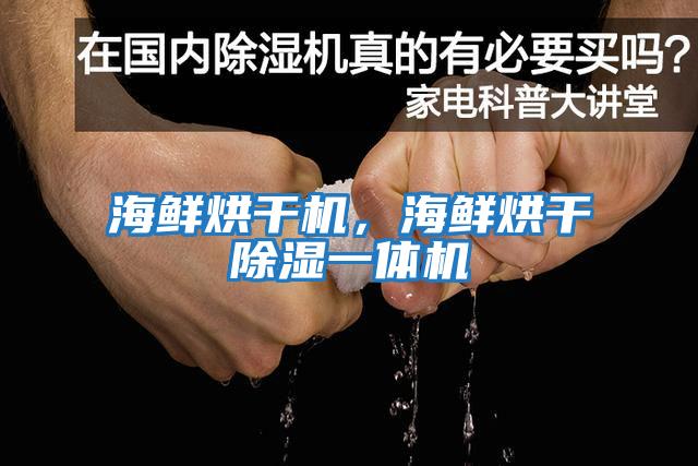 海鮮烘干機，海鮮烘干除濕一體機