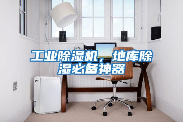 工業(yè)除濕機(jī)，地庫除濕必備神器