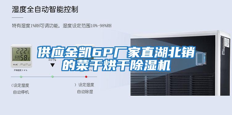 供應(yīng)金凱6P廠家直湖北銷(xiāo)的菜干烘干除濕機(jī)