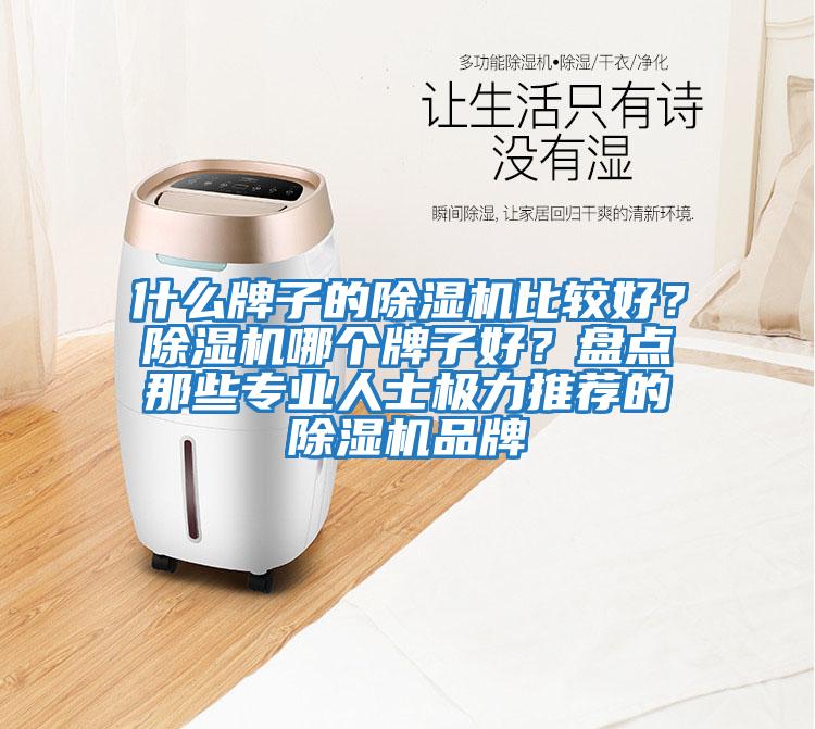 什么牌子的除濕機(jī)比較好？除濕機(jī)哪個(gè)牌子好？盤點(diǎn)那些專業(yè)人士極力推薦的除濕機(jī)品牌