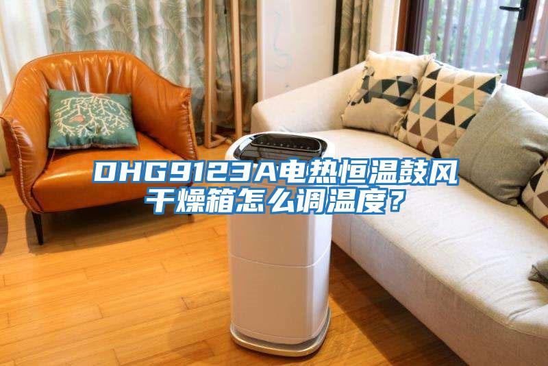 DHG9123A電熱恒溫鼓風干燥箱怎么調溫度？