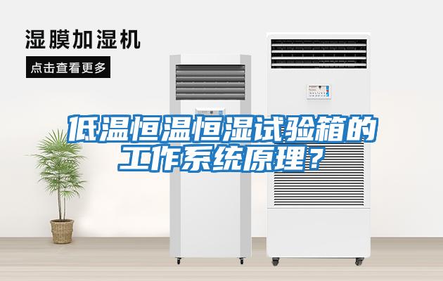 低溫恒溫恒濕試驗(yàn)箱的工作系統(tǒng)原理？