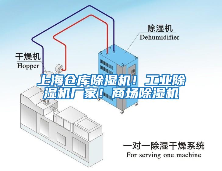 上海倉庫除濕機！工業除濕機廠家！商場除濕機