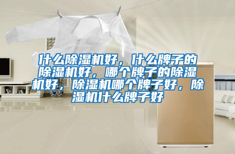什么除濕機(jī)好，什么牌子的除濕機(jī)好，哪個牌子的除濕機(jī)好，除濕機(jī)哪個牌子好，除濕機(jī)什么牌子好