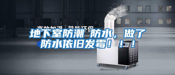 地下室防潮≠防水，做了防水依舊發霉?。?！
