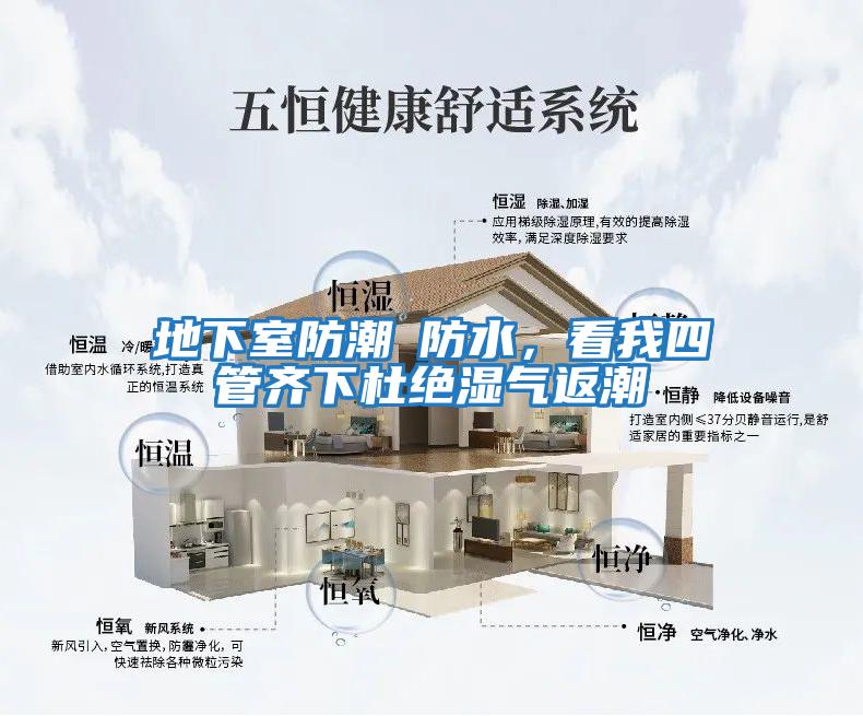 地下室防潮≠防水，看我四管齊下杜絕濕氣返潮